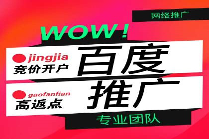 成功案例：如何通过百度推广优化提高转化率